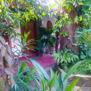 Gangula Eco Homestay Sigiriya